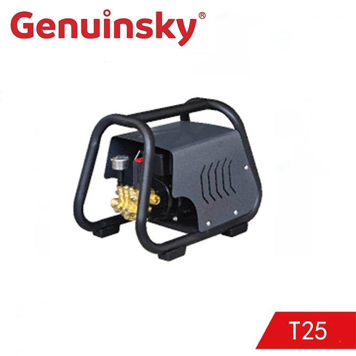 Nettoyeur haute pression T25
